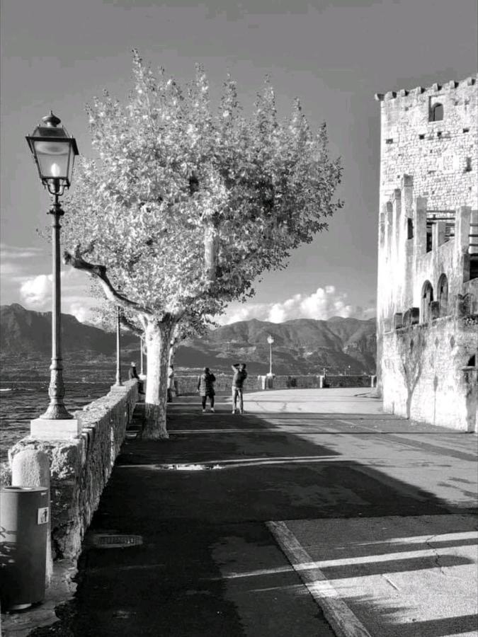 Garda Dreams Apartment Torri Del Benaco Exteriér fotografie